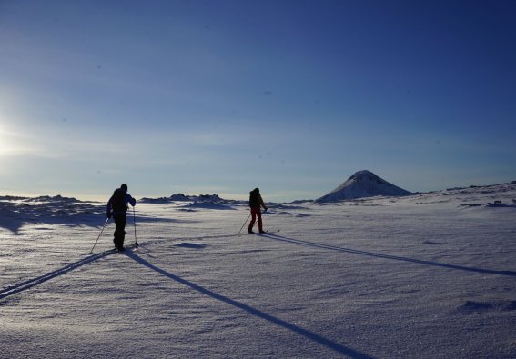 Ferð